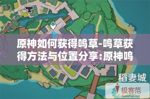 原神如何获得鸣草-鸣草获得方法与位置分享:原神鸣草采集位置图片