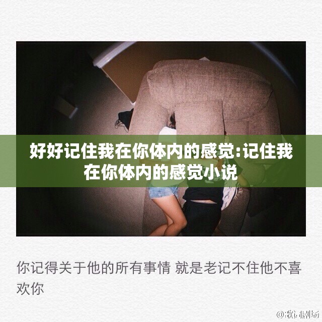 好好记住我在你体内的感觉:记住我在你体内的感觉小说