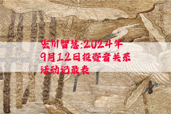 宏川智慧:2024年9月12日投资者关系活动记录表