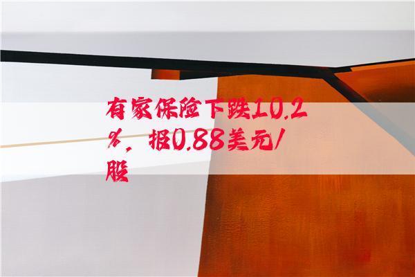 有家保险下跌10.2%，报0.88美元/股