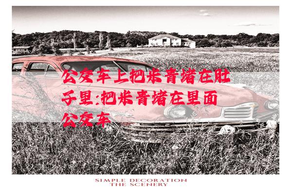 公交车上把米青堵在肚子里:把米青堵在里面公交车