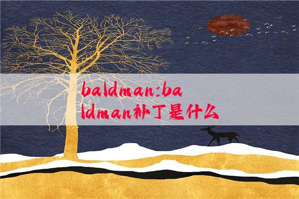 baldman:baldman补丁是什么